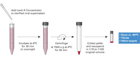 lenti x concentrator protocol.